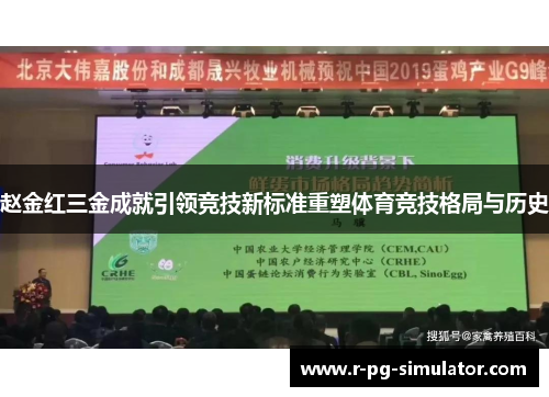 赵金红三金成就引领竞技新标准重塑体育竞技格局与历史 赵金红三金成就引领竞技新标准重塑体育竞技格局与历史